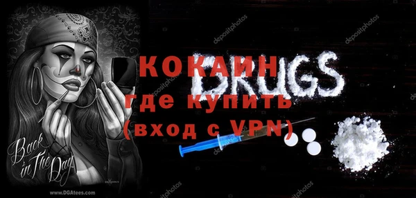 твердый Новозыбков