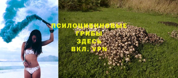 apvp Новодвинск