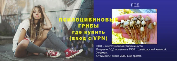 твердый Новозыбков