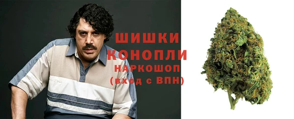 твердый Новозыбков