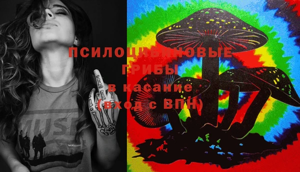 apvp Новодвинск