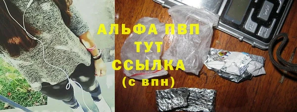 твердый Новозыбков