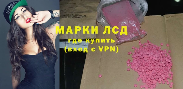 твердый Новозыбков