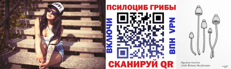дарнет шоп  Агидель  Псилоцибиновые грибы Psilocybe 